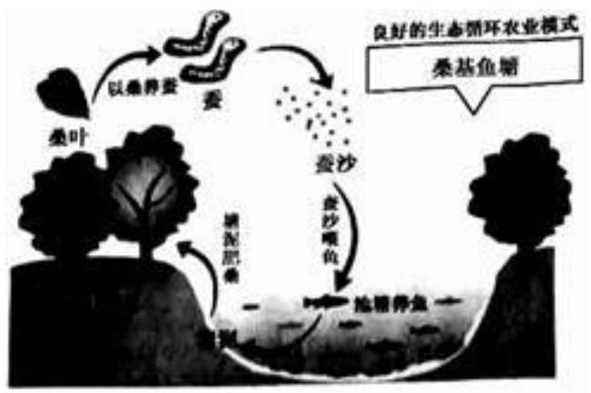 mp_9ad8c5db8f.jpg