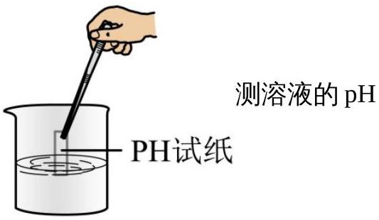 mp_9b3cd46485.jpg