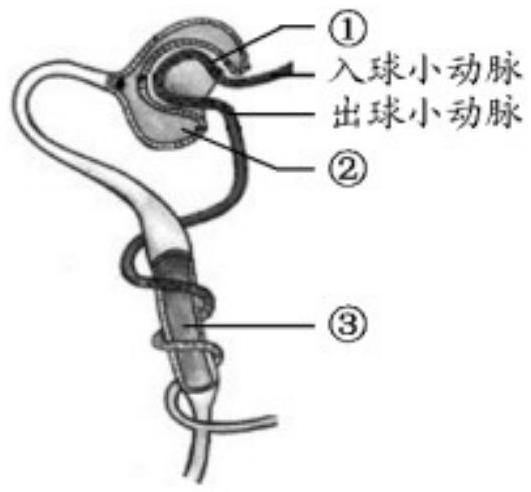 mp_9b60c5e817.jpg