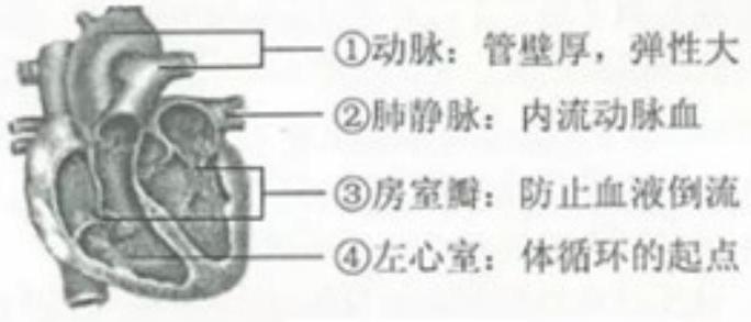 mp_9bd6cbddab.jpg