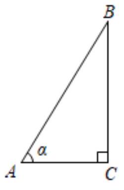 mp_9cd984400f.jpg