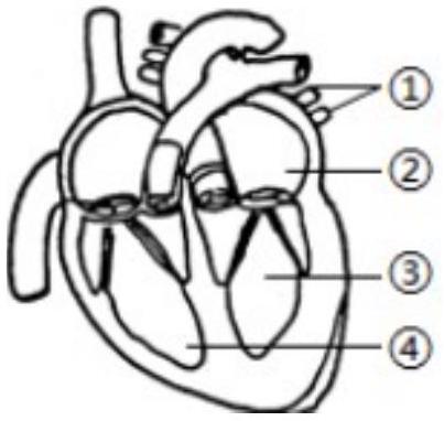 mp_a301bbaf30.jpg