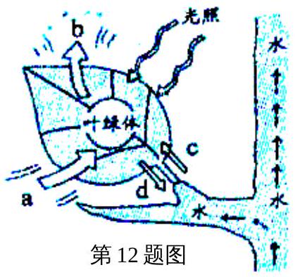 mp_a3358f6ddf.jpg
