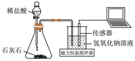 mp_a349903a97.jpg