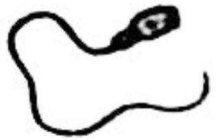 mp_a34b3a34db.jpg