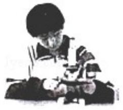 mp_a3f4be3212.jpg