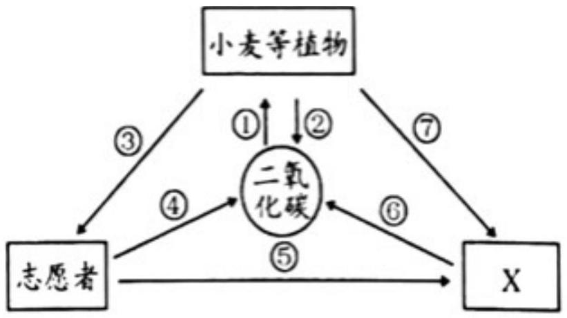 mp_a47d26c68e.jpg