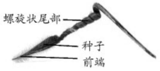 mp_a48e381be6.jpg