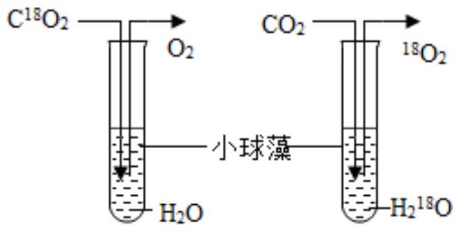 mp_a5d04f49f8.jpg