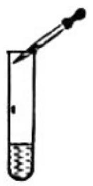 mp_aa0afaa535.jpg