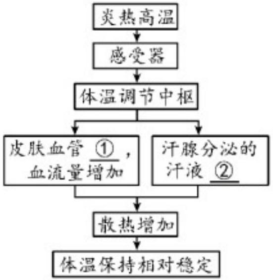 mp_ab77aae3ea.jpg