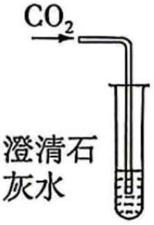 mp_ae05de5315.jpg