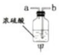 mp_ae93c00eb7.jpg