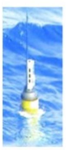 mp_af94d28c80.jpg