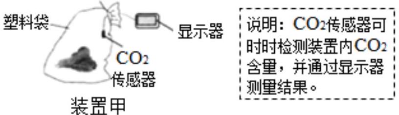 mp_b1829bcff5.jpg