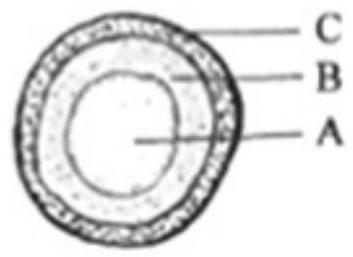 mp_b2475bdfda.jpg