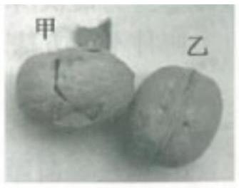 mp_b2df548540.jpg