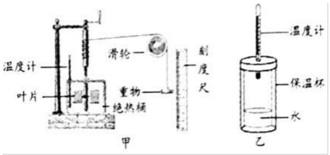 mp_b338f35b8f.jpg