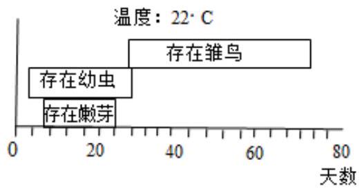 mp_b4c3a2c525.jpg