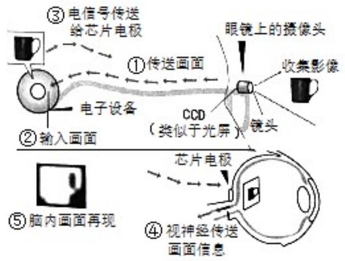 mp_b52ac95869.jpg
