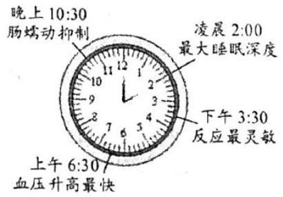 mp_b55366b0b0.jpg