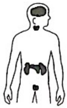 mp_b61cf89e0a.jpg