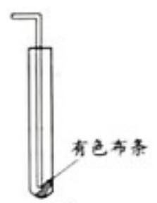 mp_b6dcb90910.jpg