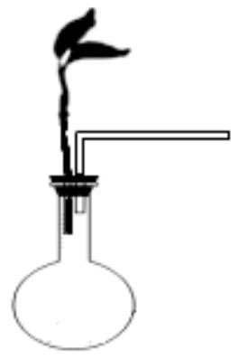 mp_b7011ad683.jpg