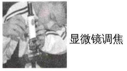 mp_b729ac2a2e.jpg