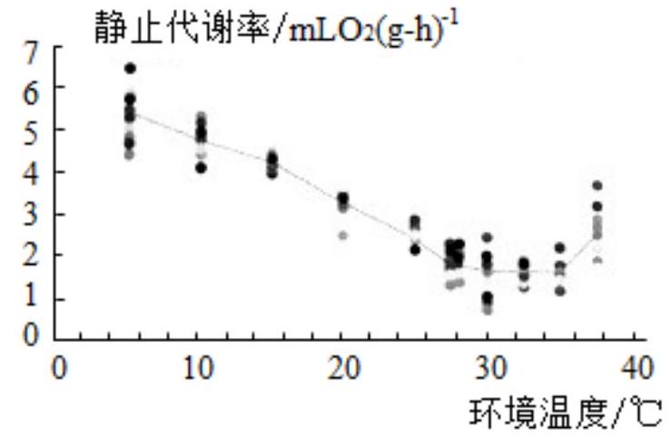 mp_b75acc0cd9.jpg