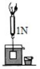 mp_b7beec1fa5.jpg