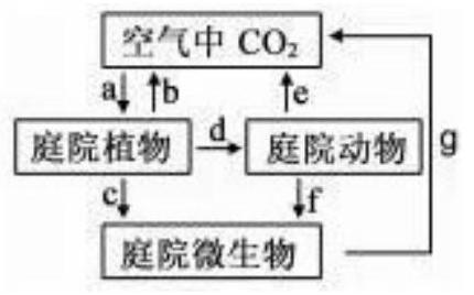 mp_b8494a554a.jpg