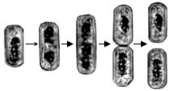 mp_b877c92bb1.jpg