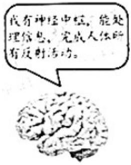 mp_b9058d6749.jpg