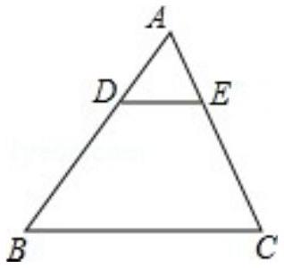 mp_b9153c0b8b.jpg