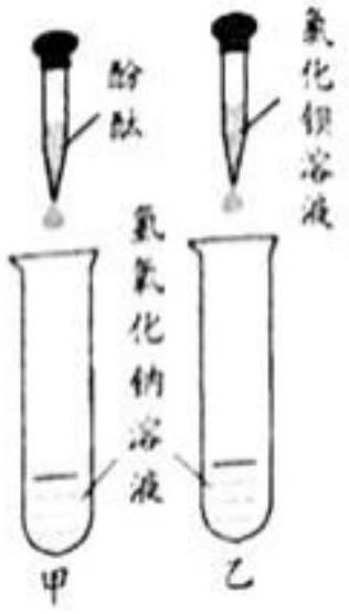 mp_bb9c5824ff.jpg