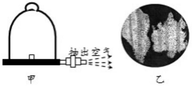 mp_bce12bbd35.jpg