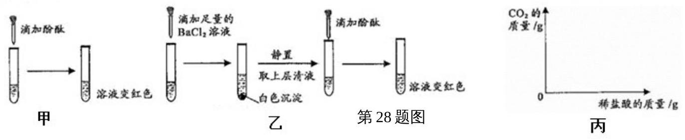 mp_bd7d5d98df.jpg
