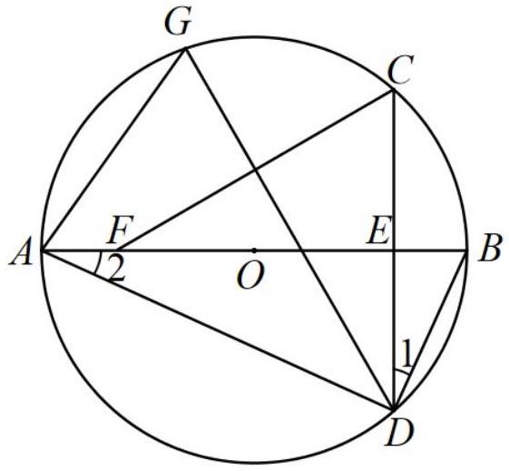 mp_bfd6b3a740.jpg