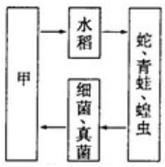 mp_c08fcfa052.jpg