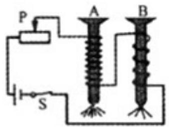 mp_c14bb53e80.jpg