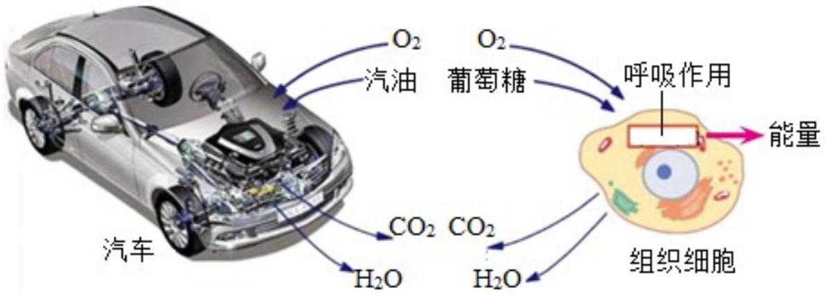 mp_c23895356a.jpg