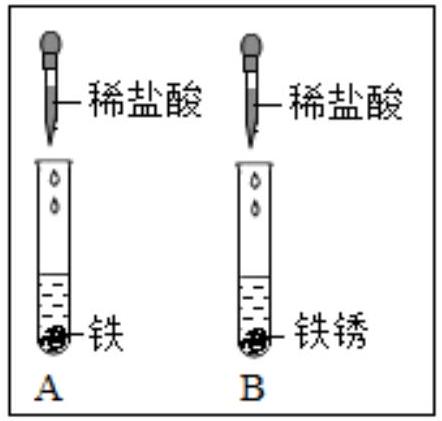 mp_c241106f99.jpg
