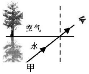 mp_c37573a5b1.jpg