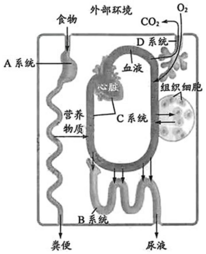 mp_c5663c7a15.jpg