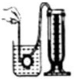 mp_c913041cd5.jpg