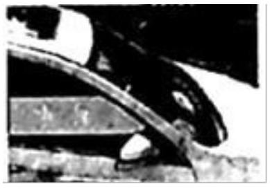 mp_ca8021c0db.jpg