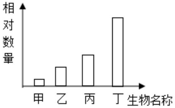 mp_cd10260833.jpg
