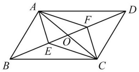 mp_cd6805a2bd.jpg