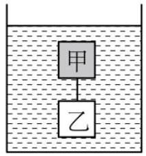 mp_cda9c8d456.jpg